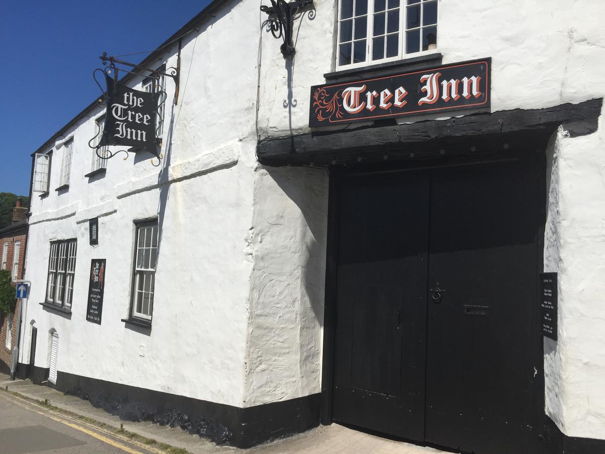 The Tree Inn Bude Exteriér fotografie