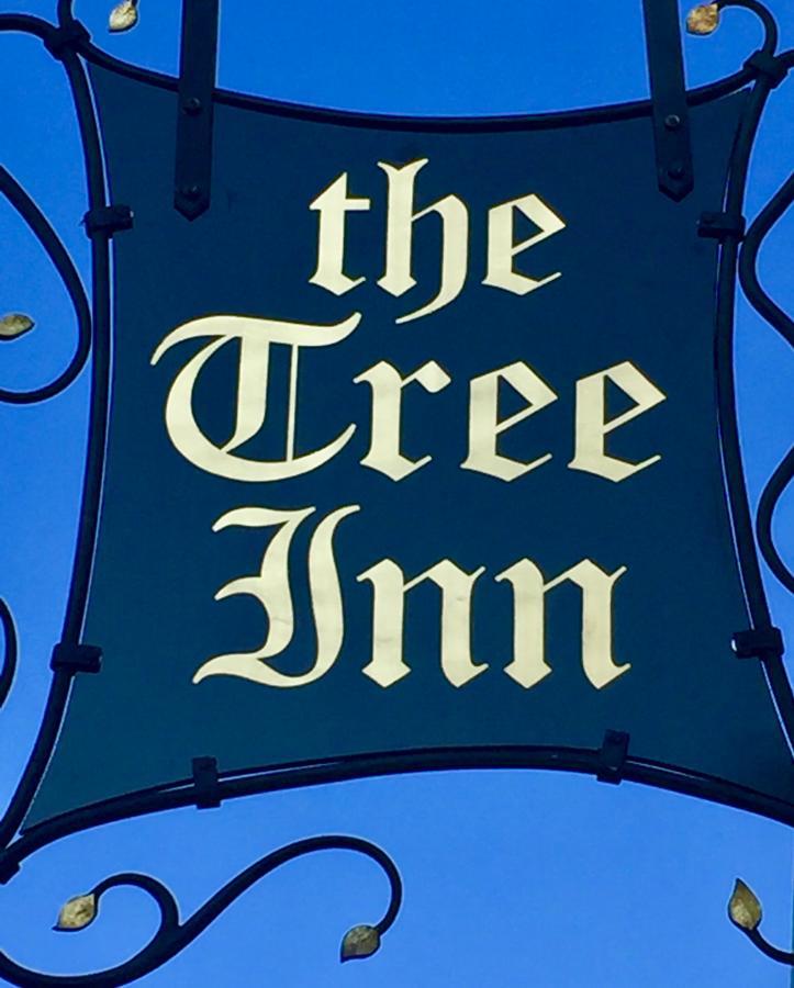 The Tree Inn Bude Exteriér fotografie